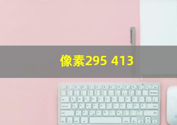 像素295 413